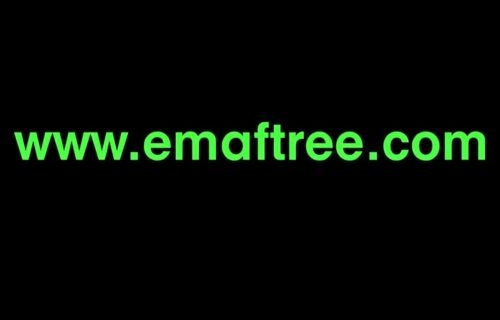 www embedtree .com